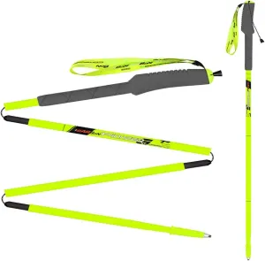 2 Pack Lightweight Trekking Poles- 99% Carbon Fiber Collapsible Hiking Poles/Folding Strong Walking Sticks - Professional Durable Walking Poles for All Terrain/for Men, Women (B)