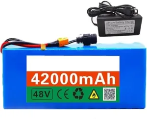 48V 42Ah Lithium E Bike Battery Pack - Waterproof Electric Bike Battery Compatible with Scooter, Includes Charger with XT60 Plug