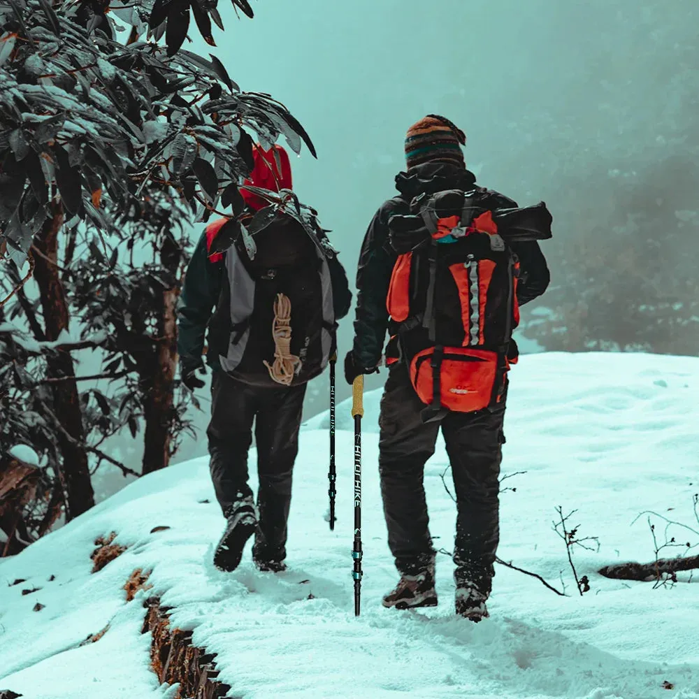 Collapsible Carbon Fiber Trekking Poles for Hiking & Climbing
