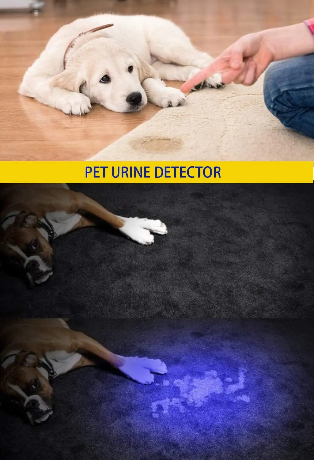 DARKBEAM UV 365nm and 395nm Light Wood's lamp Blacklight Ultraviolet Flashlight LED Portable Mini Handheld Torch, Detector for Dog Urine Pet Stains Anti-counterfeiting Identification, Resin Curing