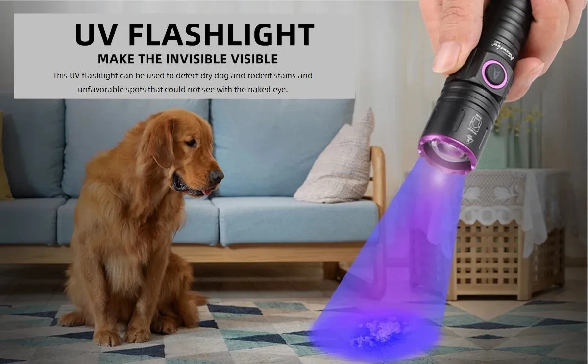 High Power 15W UV Flashlight 395/365nm USB Rechargeable for Pet Urine, Tinea, Ore, Money, Scorpions, Fluorescence Detection