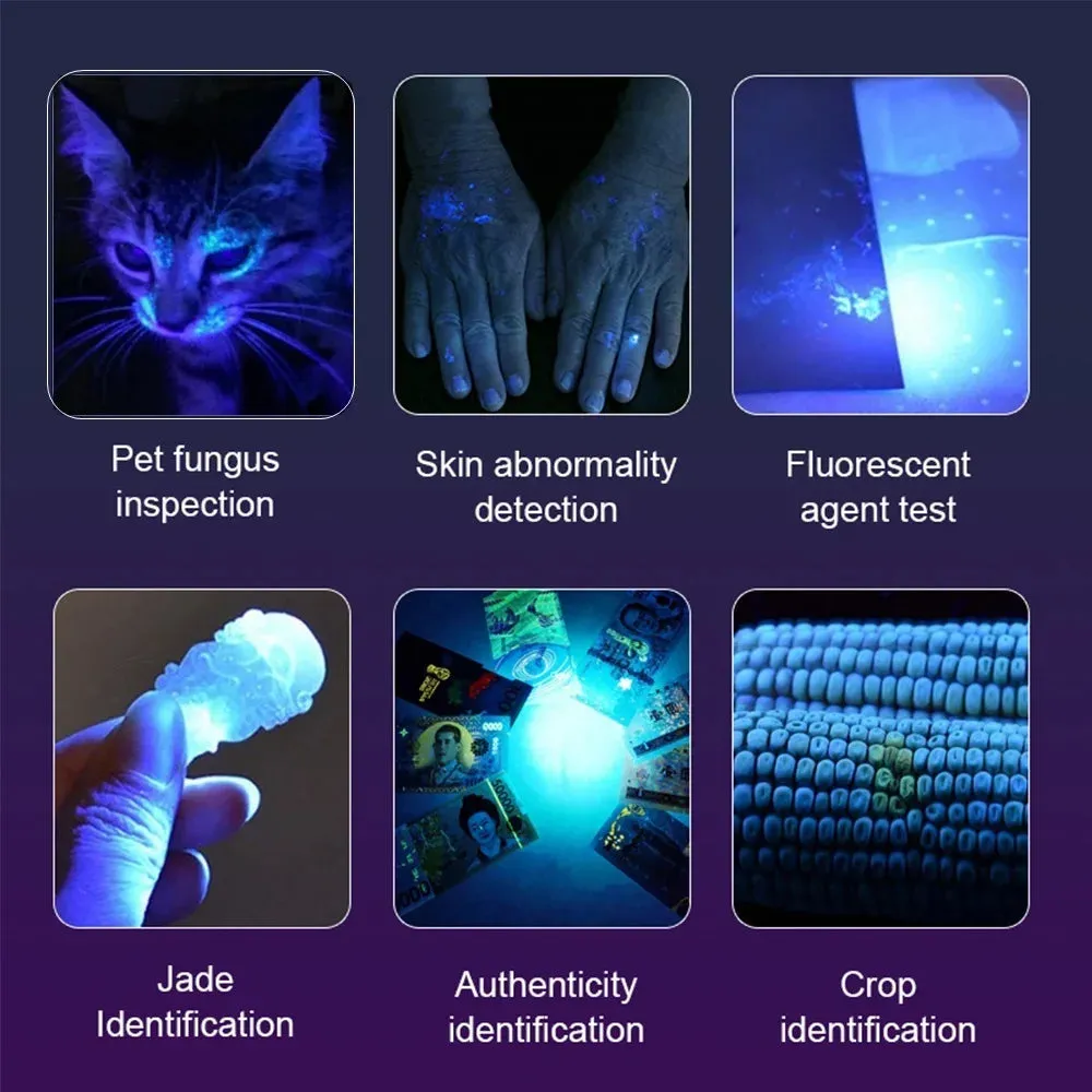 High Power 15W UV Flashlight 395/365nm USB Rechargeable for Pet Urine, Tinea, Ore, Money, Scorpions, Fluorescence Detection