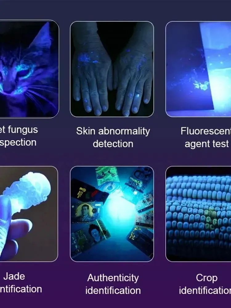 High Power 15W UV Flashlight 395/365nm USB Rechargeable for Pet Urine, Tinea, Ore, Money, Scorpions, Fluorescence Detection