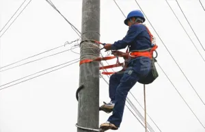 HUAWELL Electric Utility Pole Climbing Set,Pole Climbing Shoes with Adjustable Diameter, High-Intensity Mn Steel Alloy for Electrician Pole Smooth Pole, Pair by Set