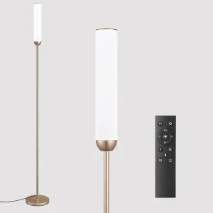 LED Floor Lamp with Remote Control, 65" Standing lamp with Stepless Adjustable 3000K-6500K Colors & 5%-100% Brightness, Foot Switch(Champagne Gold)