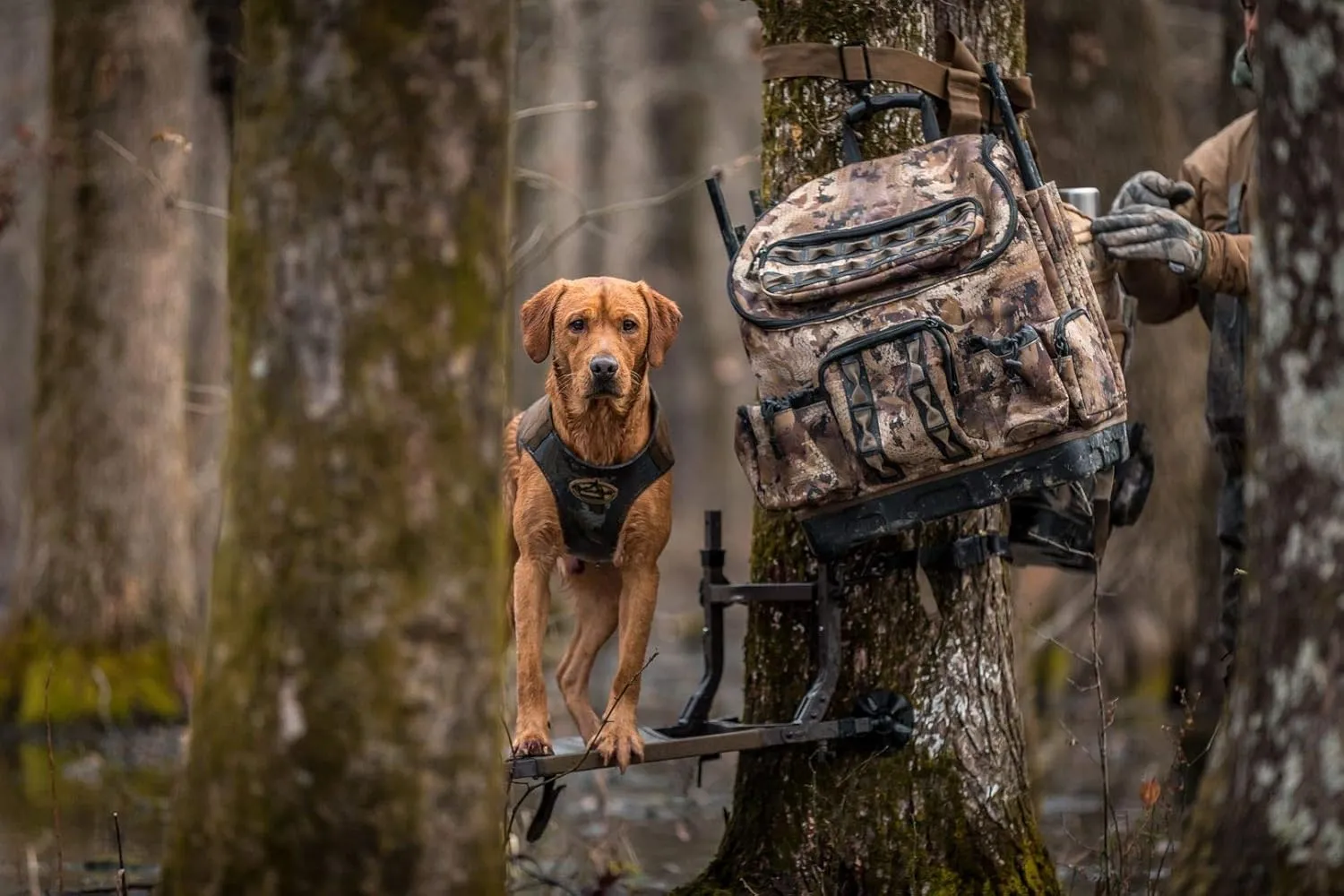 Lucky Duck 4 Slot Motion Decoy Bag for Waterfowl Hunting