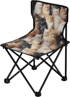 Portable Camping Folding Chairs Foldable Chair Small Cats Family Lightweight Backpacking Outdoor Outside Fishing