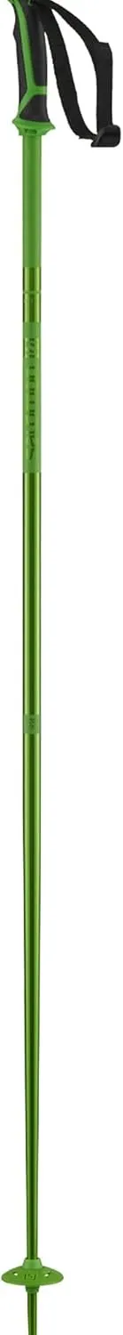 Salomon Arctic Unisex Aluminium Ski and Winter Sports Poles, Lightweight, Strong, Colour-Matched to skis