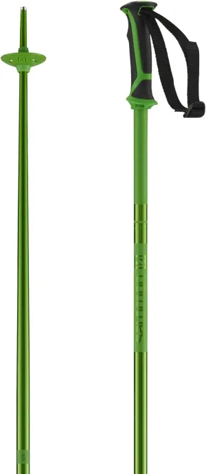 Salomon Arctic Unisex Aluminium Ski and Winter Sports Poles, Lightweight, Strong, Colour-Matched to skis