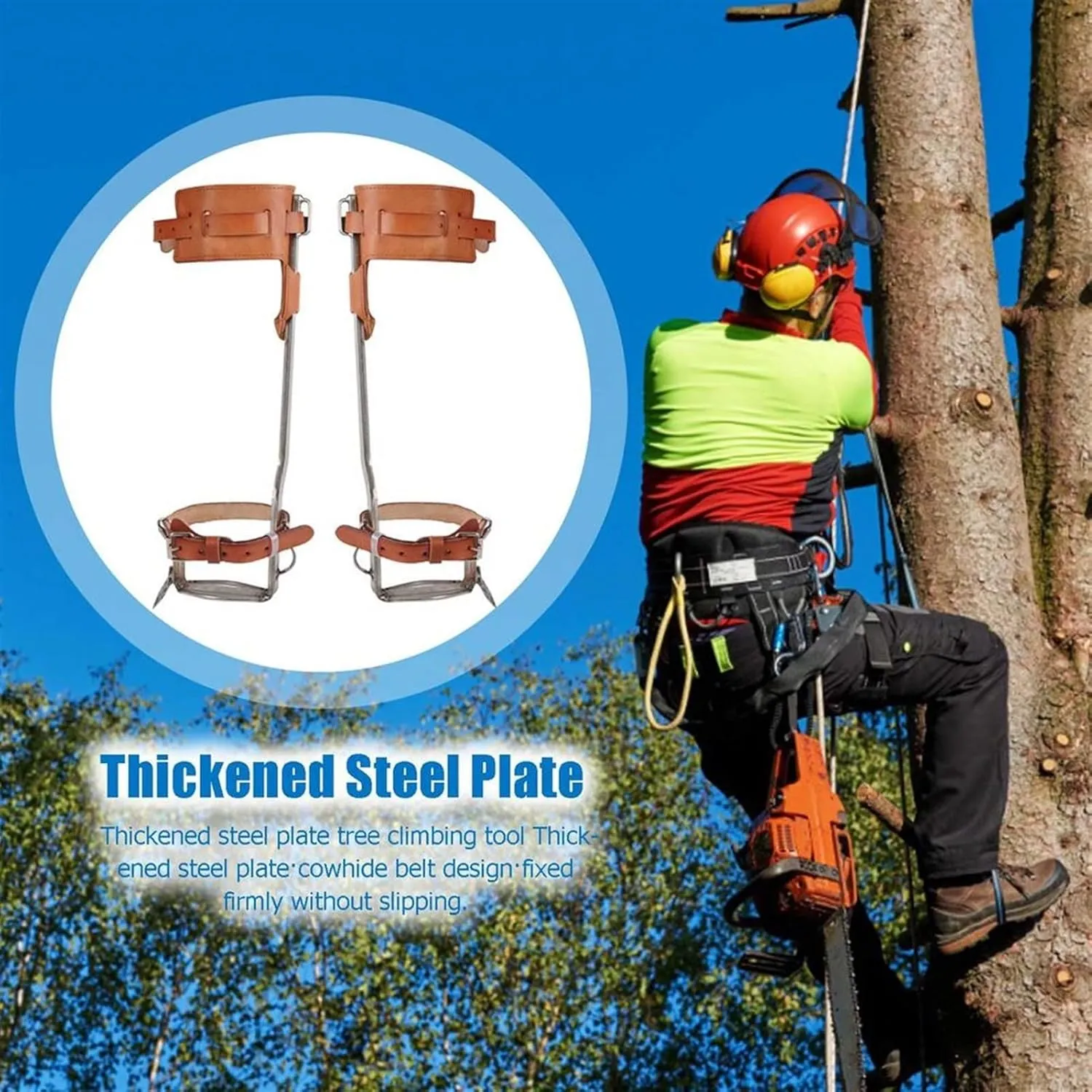Tree Clim Gear Tree Clim Spike Set Stainless Steel Clim Nails Non-Slip Cat's Claw Adjustable Safety Belt Lanyard Tree Clim Artifact for Hunting Observation Pickin (Double Claw and Belt 1)
