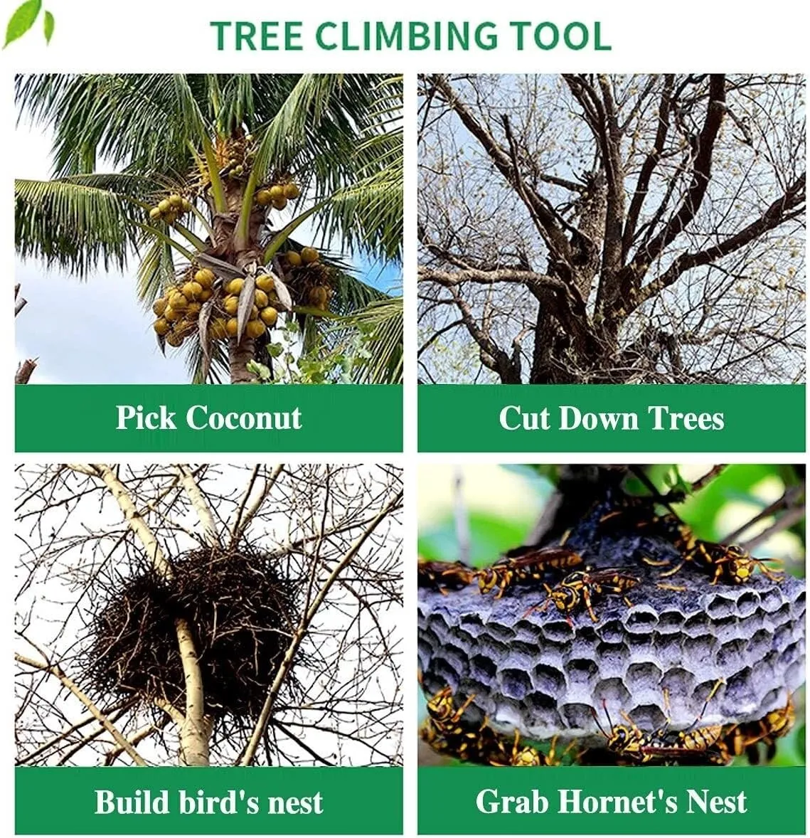 Tree Climbing Spikes, Tree Climbing Tool, Tree Climbing Spike Set, with Harness Beltc and Pedal, for Hunting Observation(2claws)