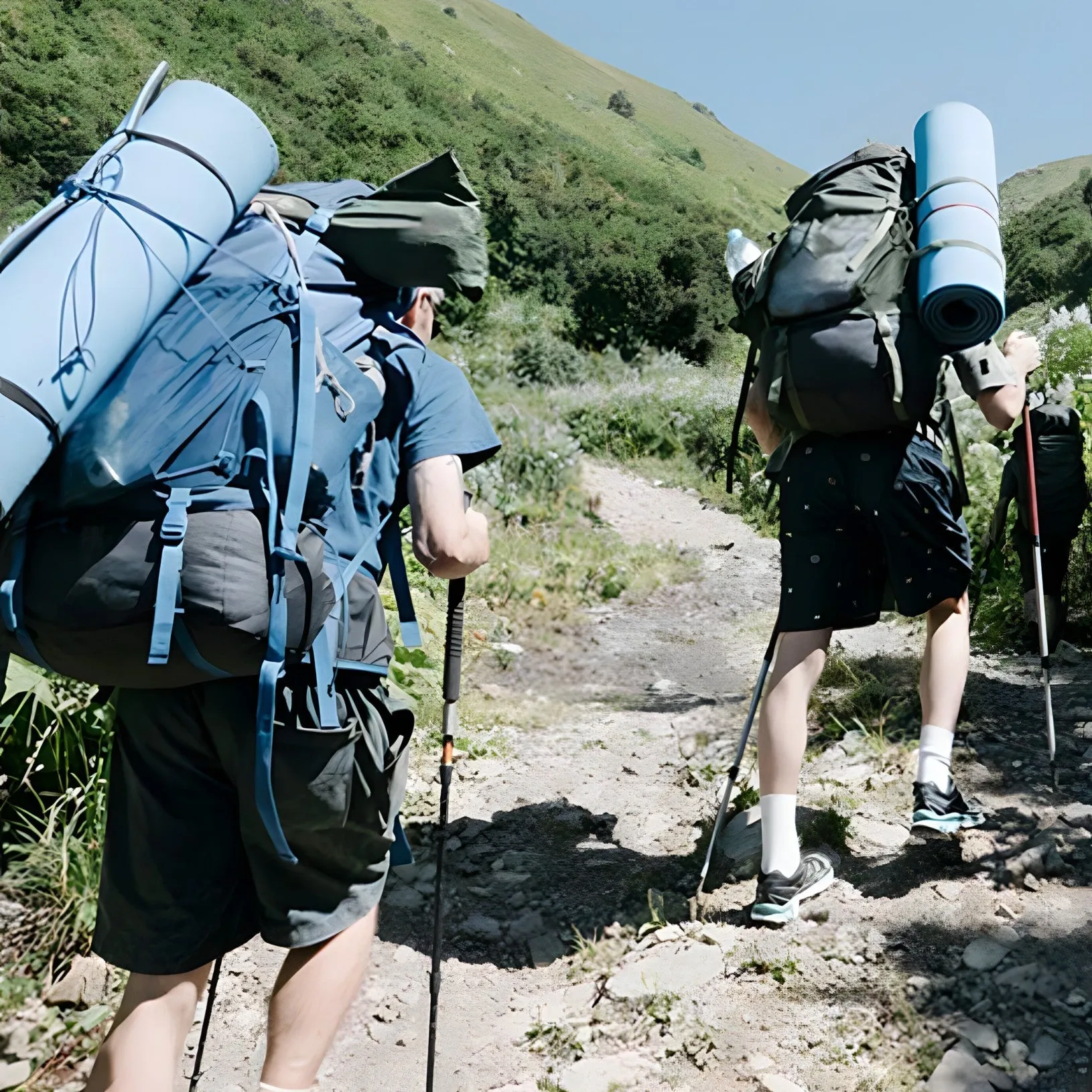 Trekking Poles - Folding | Lightweight