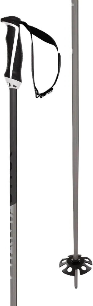 Volkl Phantastick 18mm Poles (141006)